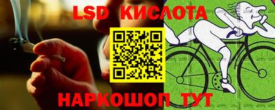 соль ск Сланцы