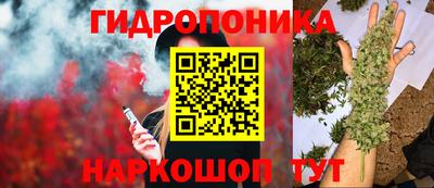 соль ск Сланцы