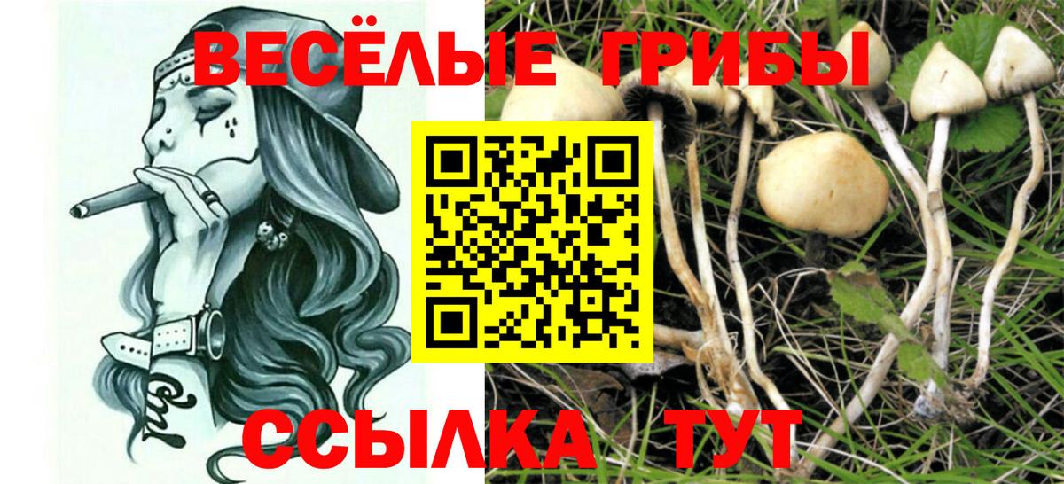 Псилоцибиновые грибы Magic Shrooms  Вход с VPN  Омск 