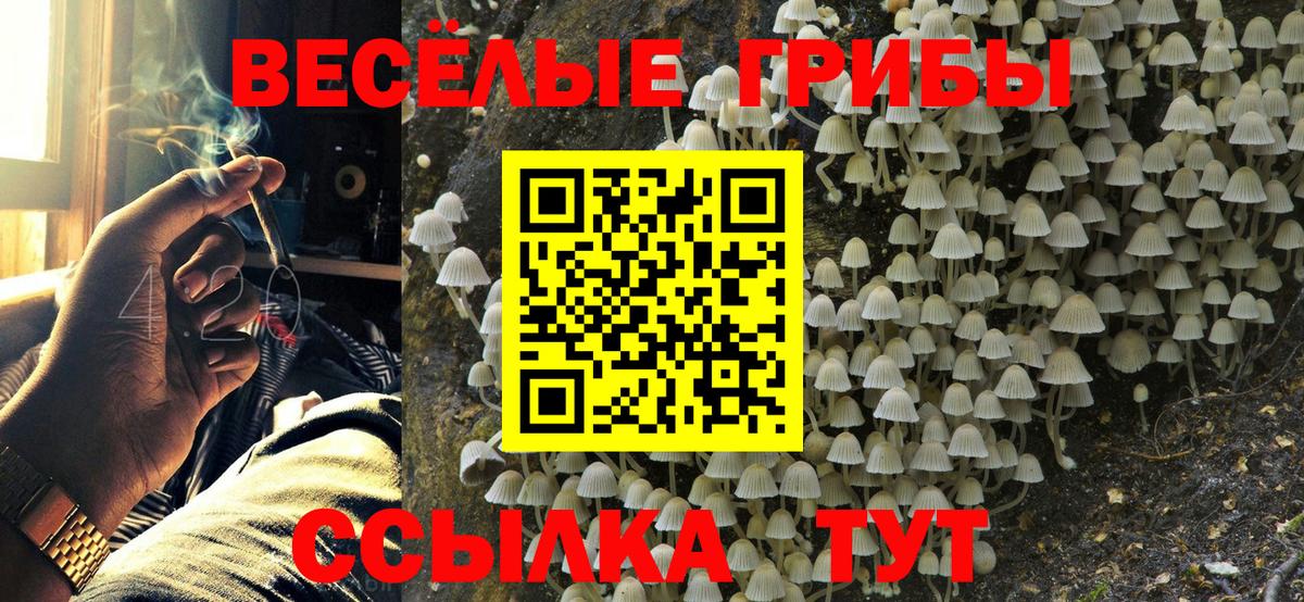 Псилоцибиновые грибы мухоморы Омск
