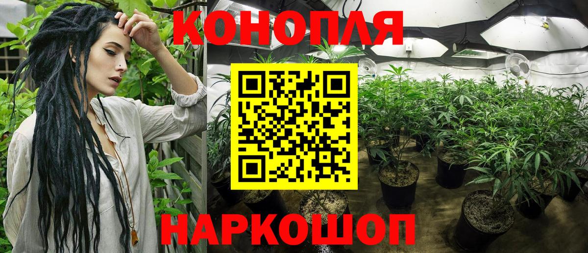 Бошки Шишки планчик Омск
